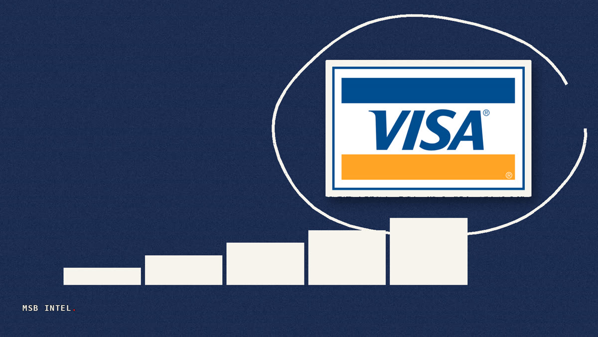 Chase asks Visa to probe meme coin purchases classified as digital goods
